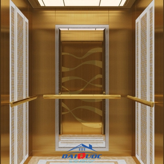 THANG MÁY TẢI KHÁCH DQ-TK01